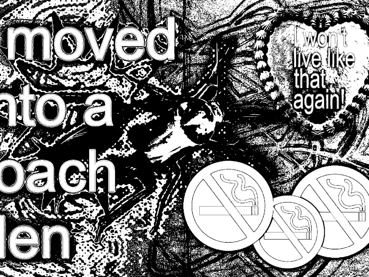 i moved into a roach den&nbsp;(zine)