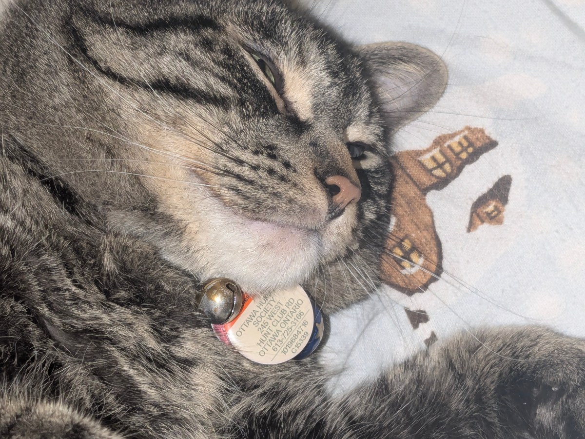 inside other people’s&nbsp;homes